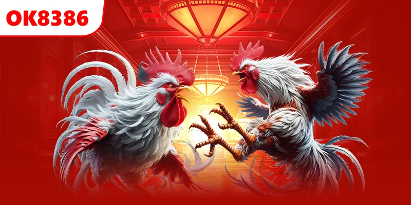 Điểm Khác Biệt Của Đá Gà Đòn Tại OK8368